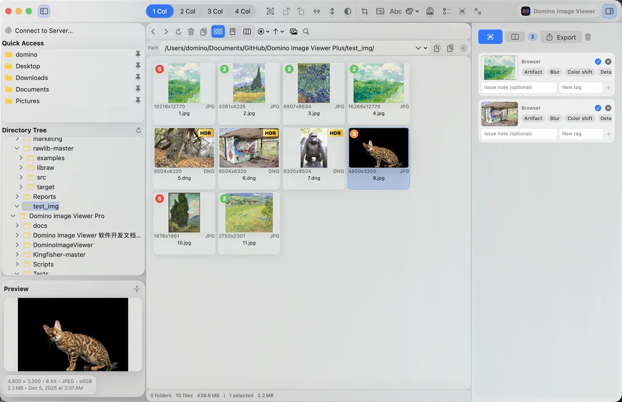 Image browser, ratings, and file tray